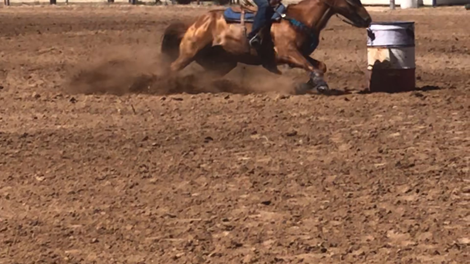 Forever Cowgirl memorial barrel race