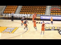 Preview Video #1