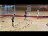 Preview Video #1