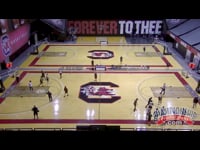 Preview Video #1