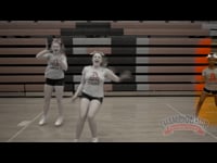 Preview Video #1