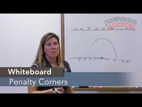 Preview Video #1