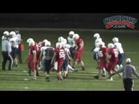 Preview Video #1