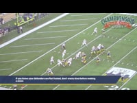 Preview Video #1