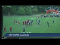 Preview Video #1