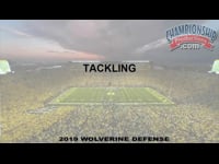 Preview Video #1
