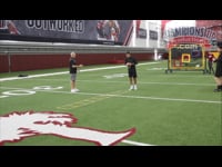 Preview Video #1
