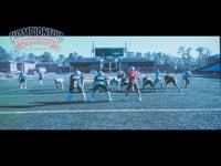 Preview Video #1