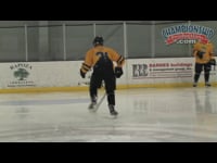 Preview Video #1