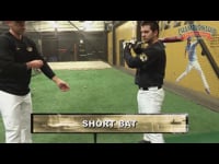 Preview Video #1