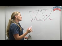 Preview Video #2