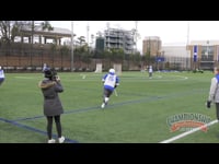 Preview Video #1