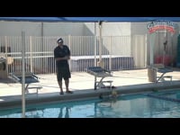 Preview Video #3