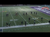 Preview Video #1