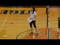 Preview Video #1