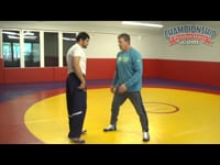 Preview Video #1