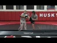 Preview Video #1