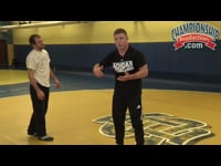 Preview Video #1