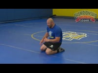 Preview Video #1