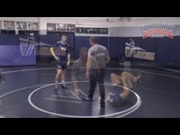 Preview Video #1