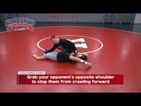 Preview Video #1