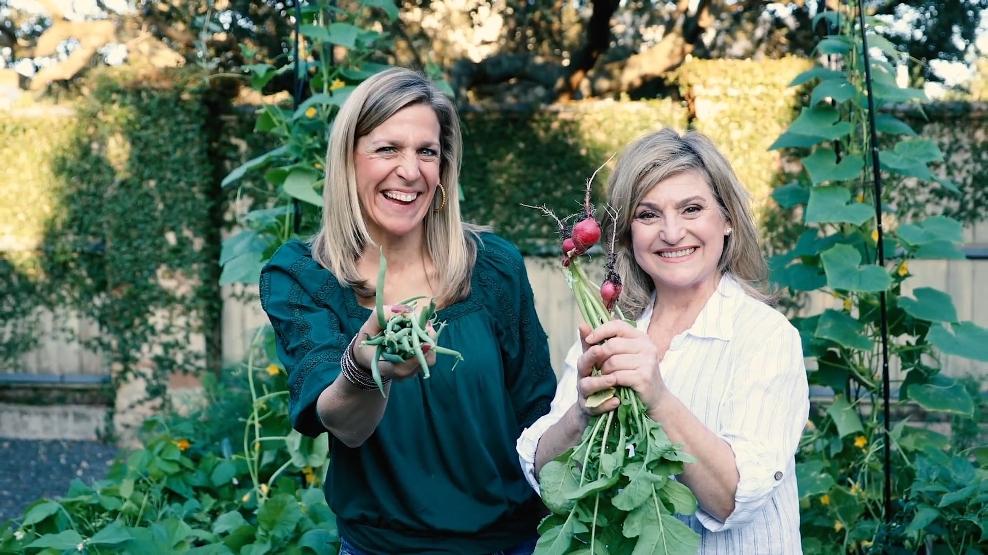 Rooted Garden Instagram Highlight