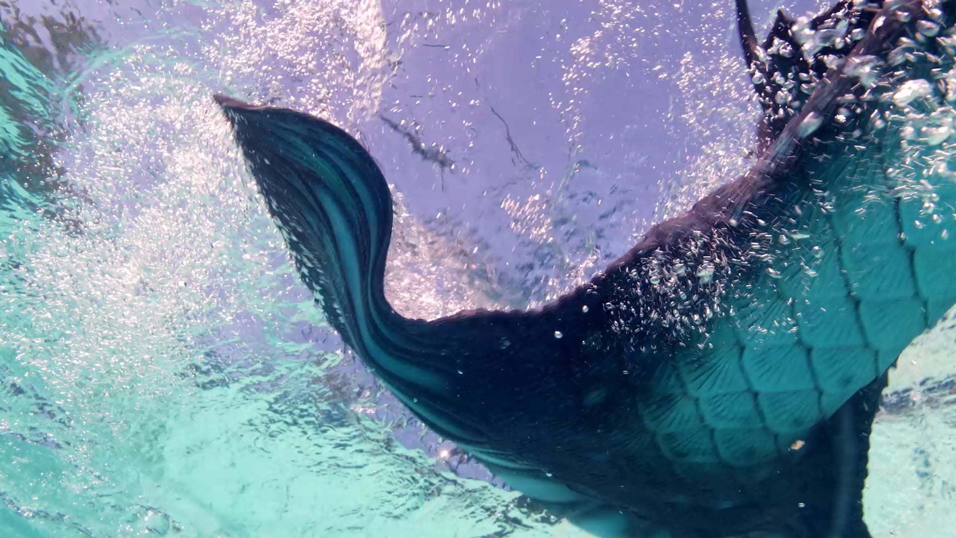 Underwater Reel