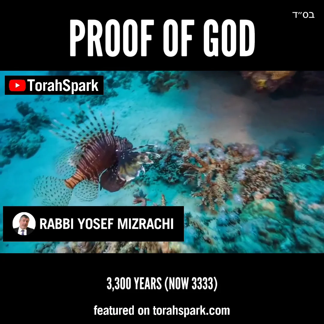 Torah Secret of Fish - #ProofOfGod on Vimeo