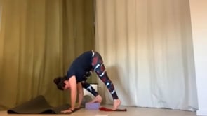 Forrest Yoga // Connect to Core: Inchworm, 1/2 Moon, Dolphin at Wall // 60 min