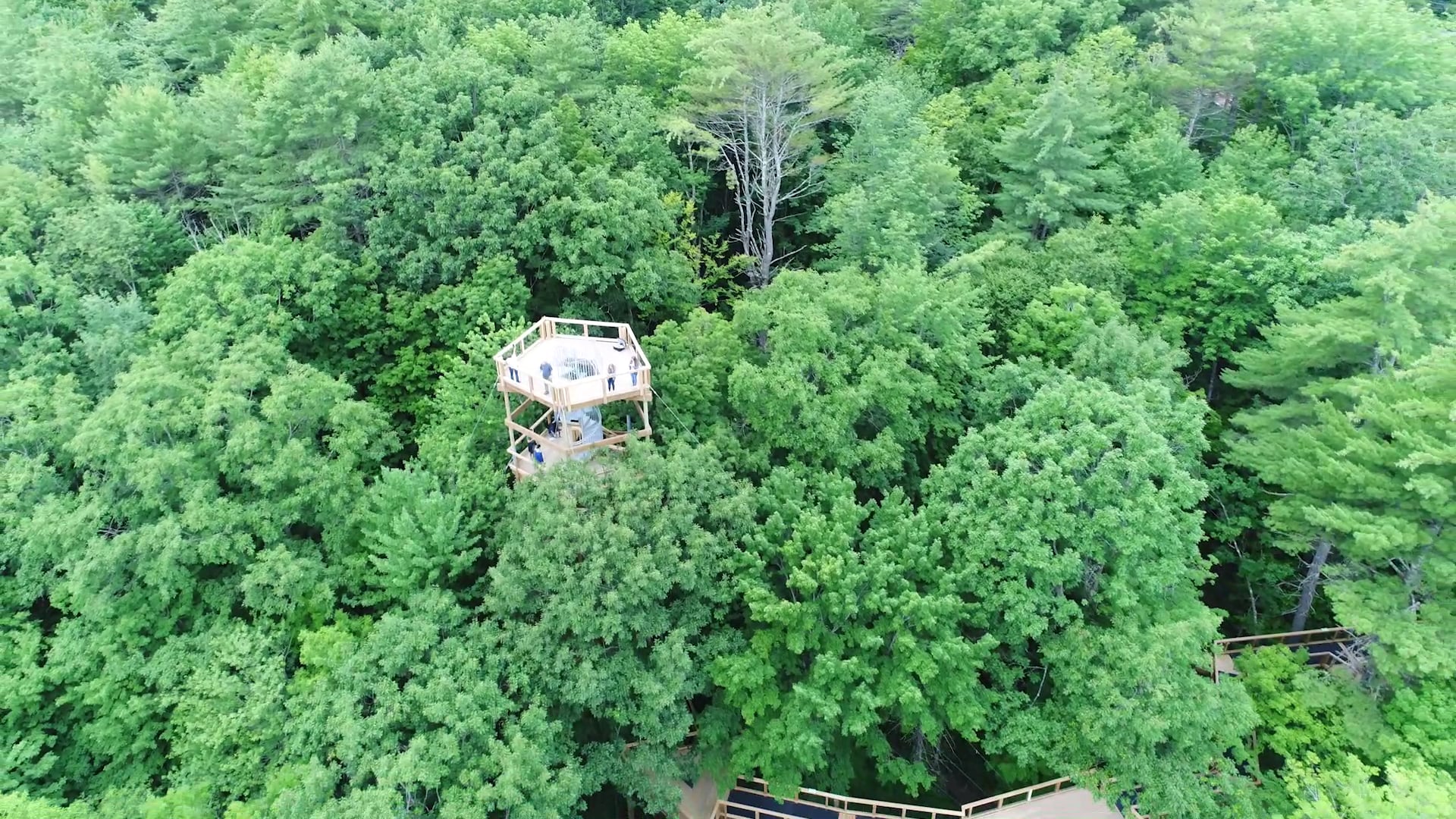 Elevate-your-perspective-Promo-Video-2020