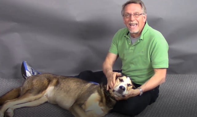 Save Money - Do your own Exam at Home