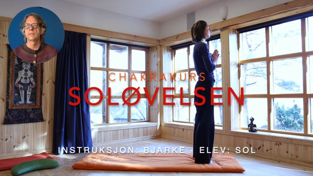 Soløvelsen