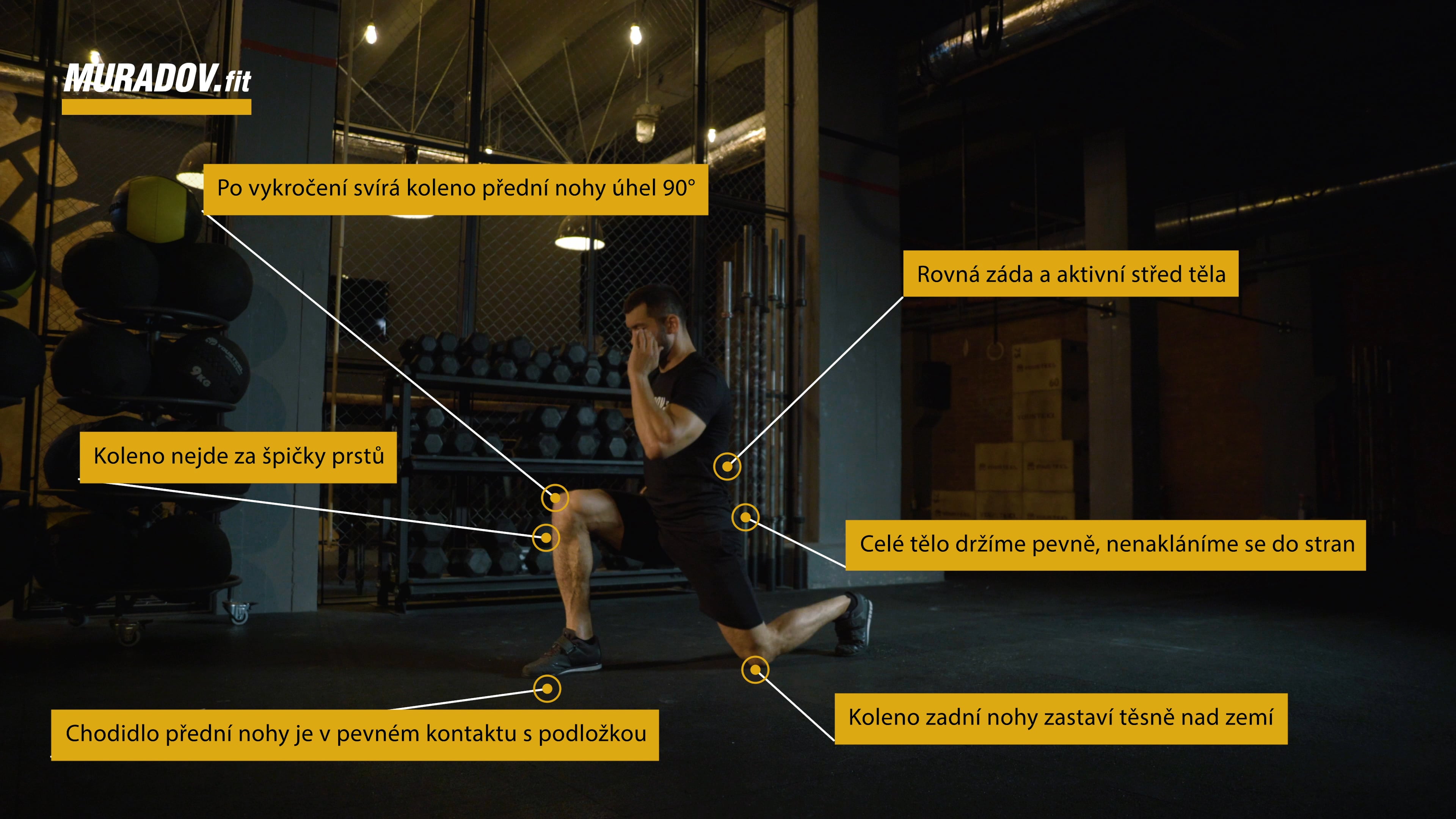 Dynamic Lunges on Vimeo