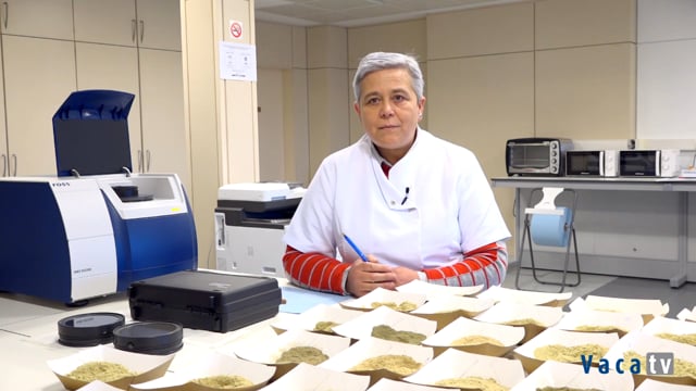 María Hermida - Rock River Laboratory Spain