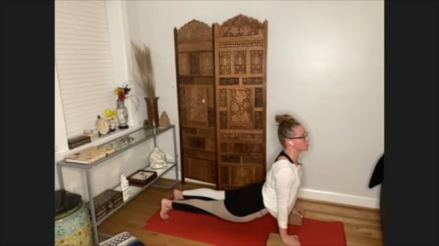 Urdhva Mukha Svanasana (upward facing dog) - instructional video with 2 blocks