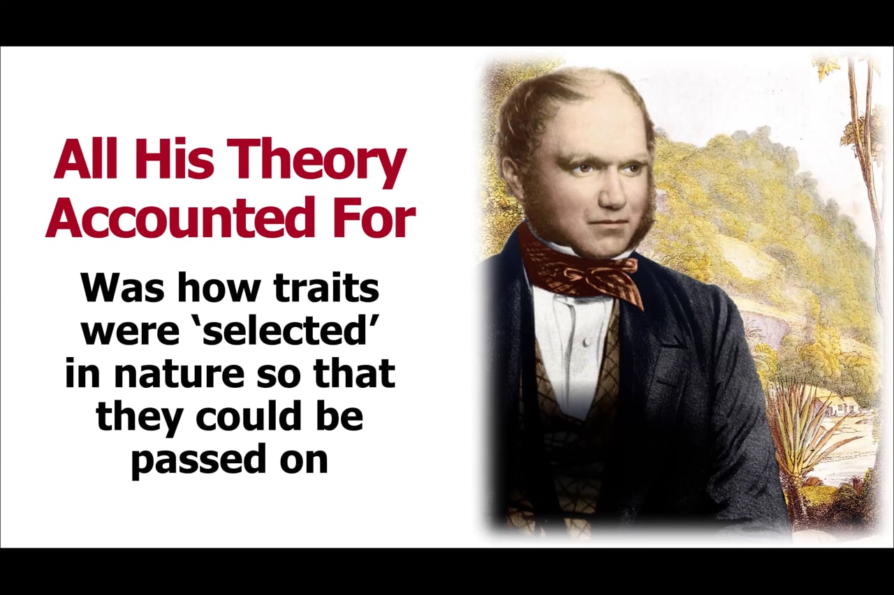 Gregor Mendel and the Birth of Genetics