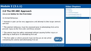 Dr ABC Approach 2.1.1 Danger - RSPCA Staff Contributors