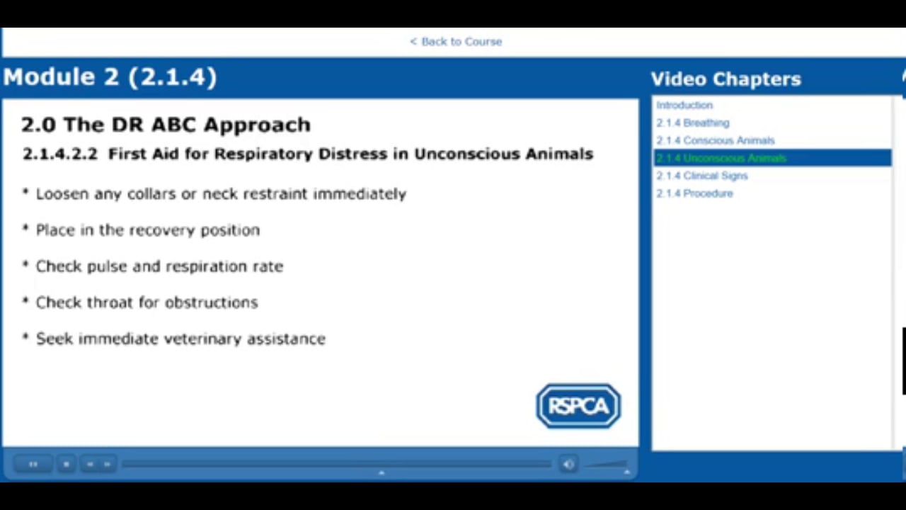 Dr ABC Approach 2.1.4 Breathing VIDEO