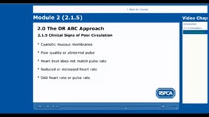 Dr ABC Approach 2.1.5 Circulation - RSPCA Staff Contributors