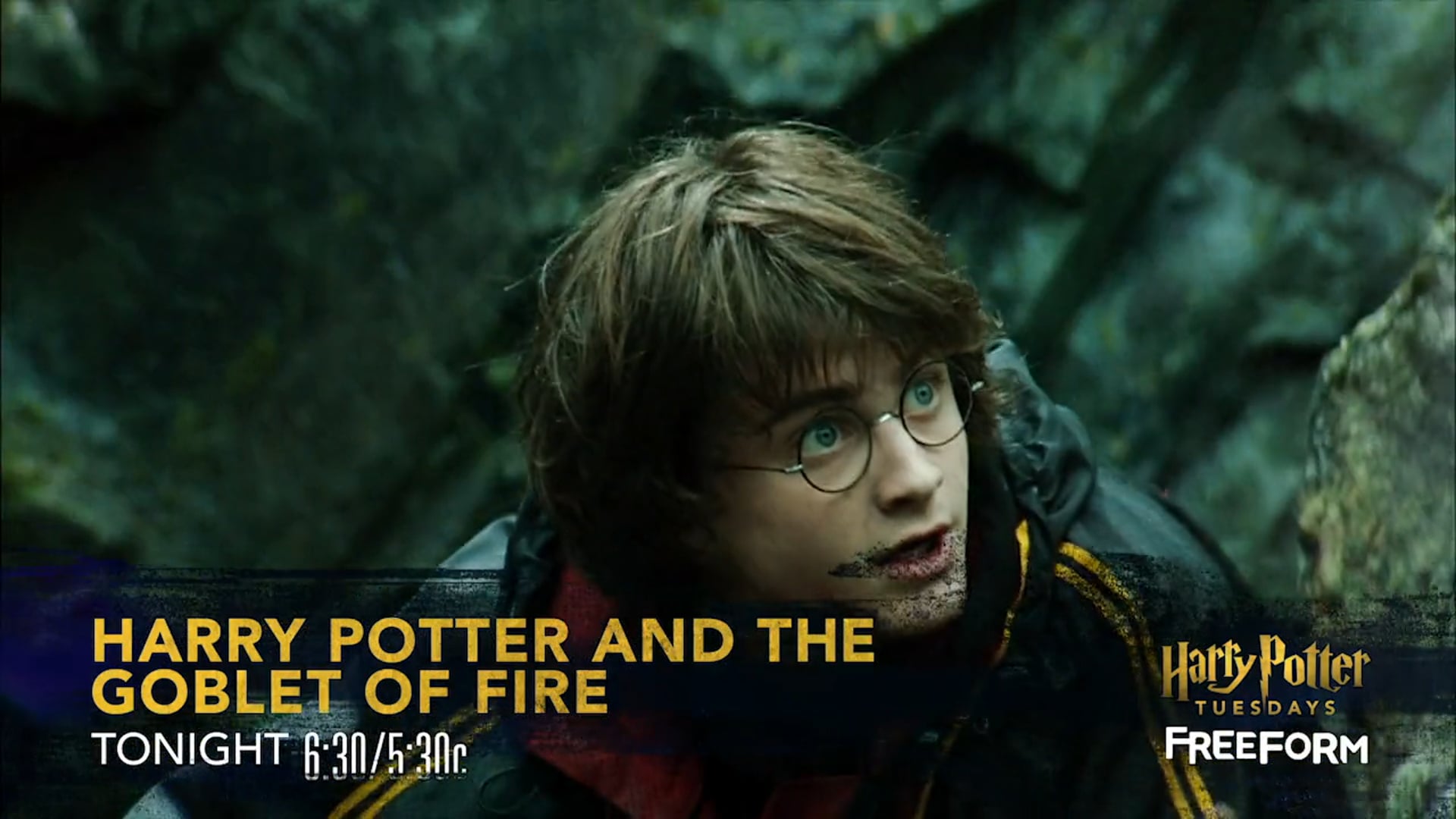 Freeform_HarryPotter_20