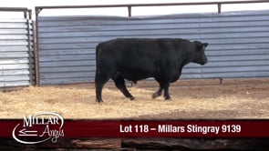 Lot #118 - MILLARS STINGRAY 9139 **OUT OF SALE**