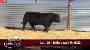 Lot #120 - MILLARS WALK ON 9122