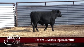 Lot #121 - MILLARS TOP DOLLAR 9106