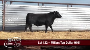 Lot #122 - MILLARS TOP DOLLAR 9101