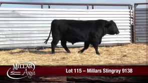 Lot #115 - MILLARS STINGRAY 9138