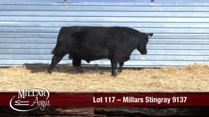 Lot #117 - MILLARS STINGRAY 9137