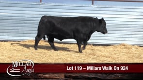 Lot #119 - MILLARS WALK ON 924