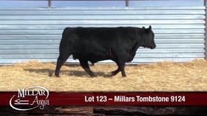 Lot #123 - MILLARS TOMBSTONE 9124