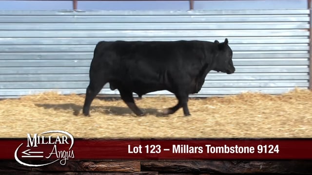 Lot #123 - MILLARS TOMBSTONE 9124