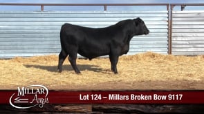 Lot #124 - MILLARS BROKEN BOW 9117